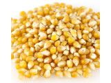 Baby Yellow Popcorn - 2 Lb Package