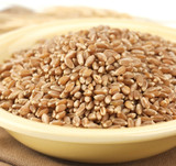 Bronze Chief Wheat Kernel - 50 Lb