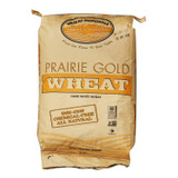 Prairie Gold Hard White Wheat Kernels - 25 Lb