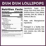 Assorted Flavor Dum Dum Lollipop Suckers