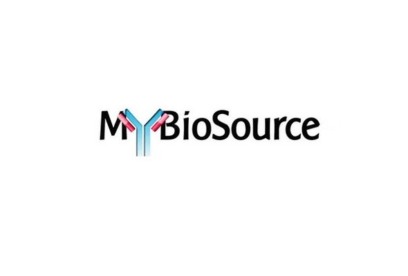 Bovine Mycoplasma Antibody IgG (MP-IgG) ELISA Kit