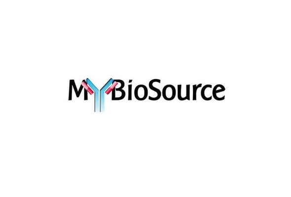 Myosin VA (MYO5A) Antibody Pair Kit (with Standard)