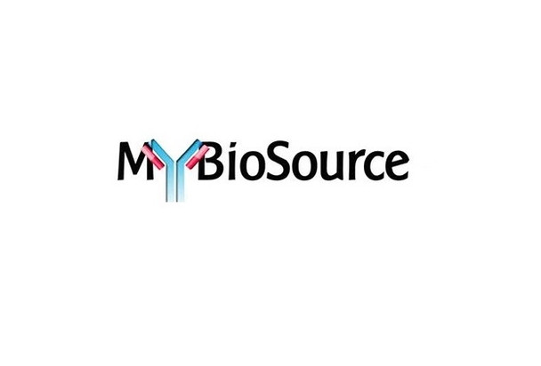 MBS4751498 | STING Rabbit pAb