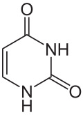 120px-uracil.svg.png