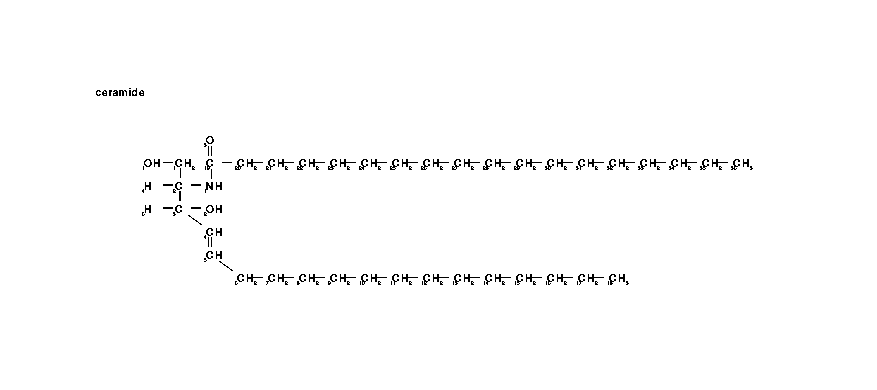 ceramide-fischer.gif