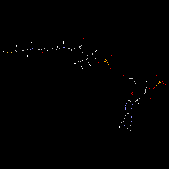 coenzymea-3d.gif