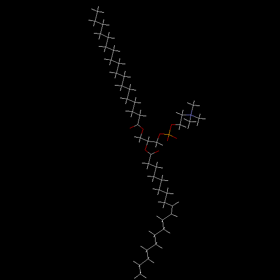 stearyl-oleyl-phosphatidylcholine-3d.gif