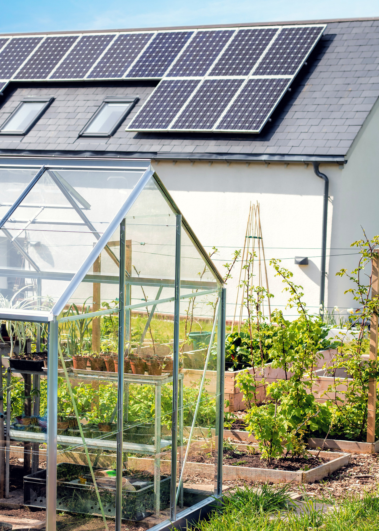 Solar Panel Incentives and Rebates in the UK