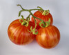 Tomato 'Red Zebra' 20-30 Seeds (Solanum lycopersicum) Vegetable Heirloom