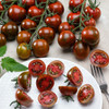 Tomato 'Tigrino' 40-50 Seeds (Lycopersicon esculentum) Vegetable Heirloom