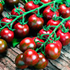 Tomato 'Tigrino' 40-50 Seeds (Lycopersicon esculentum) Vegetable Heirloom