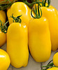 Tomato 'Banana Legs' 50-80 Seeds (Solanum lycopersicum) Vegetable Heirloom