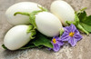 Japanese Eggplant ‘White Egg’, 20 seeds (Solanum melongena) Vegetable Heirloom