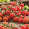 Tomato ‘Cerise’, 20 Seeds Determinate Vegetable Heirloom