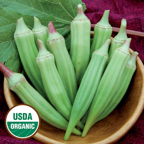 Okra, Lady's Finger Organic 'Clemson Spineless' 100150 Seeds