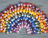 Seeds For Hot & Humid Climate