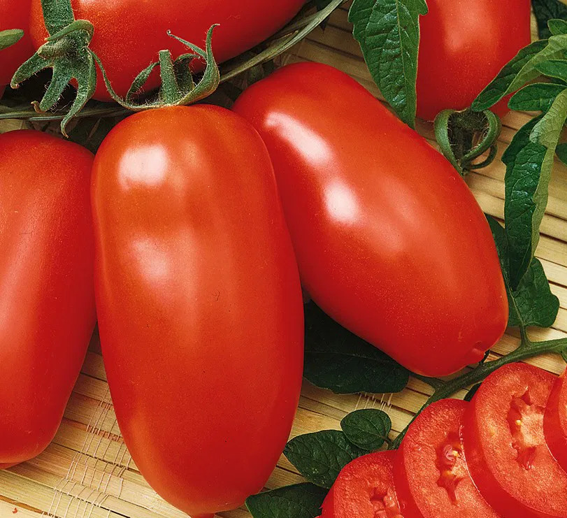 Tomato 'Zyska' 20-30 Seeds Determinate Vegetable Heirloom