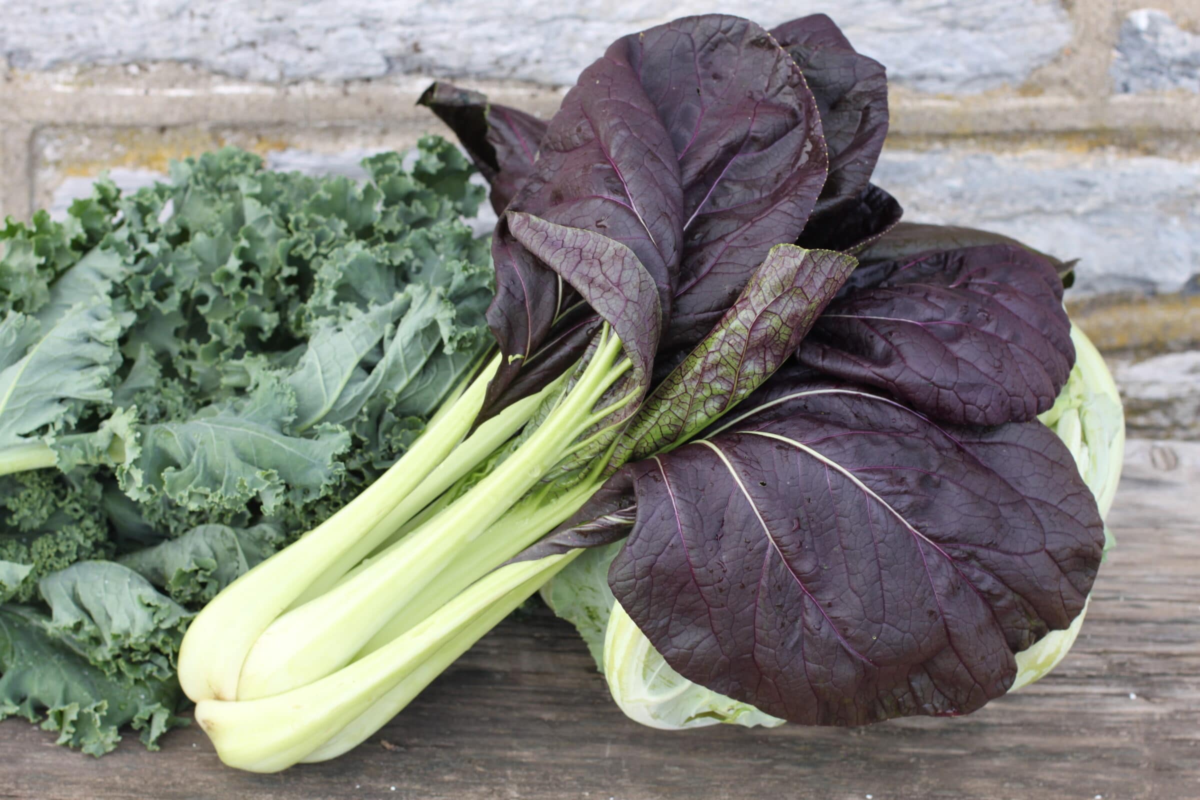 Bok Choy/Pak Choi 'Purple Shanghai H' 300-400 Seeds (Brassica rapa