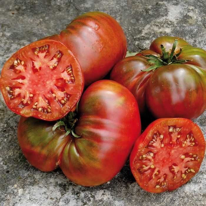 Russian Rose Beefsteak Tomato – Eagleridge Seeds