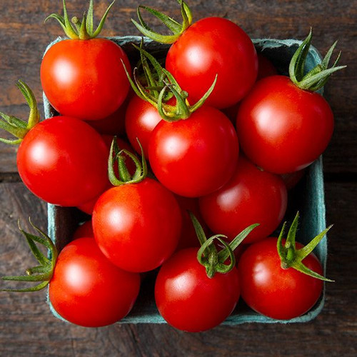 Tomate cerise ancienne 'Sweetheart Cherry' - (Graines / Seeds)