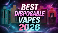 Best Disposable Vapes 2026