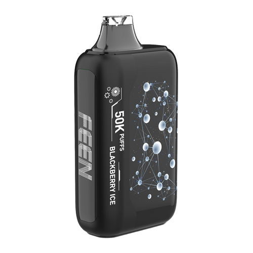 Blackberry Ice FEEN 50K Disposable