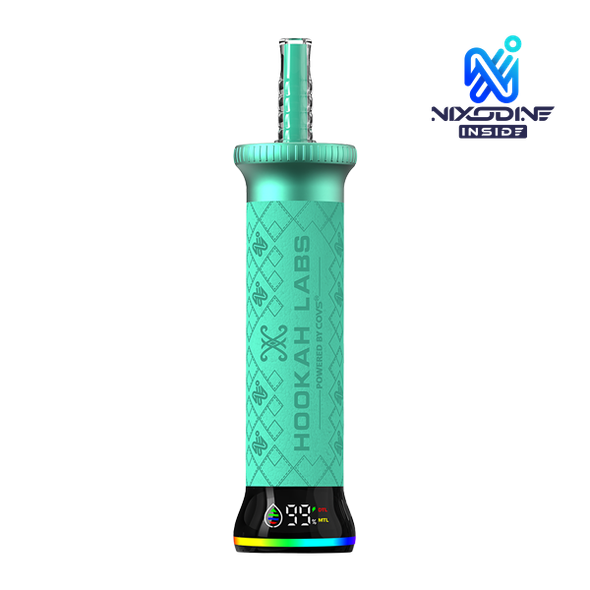 Strawberry Kiwi Hookah Labs 80K