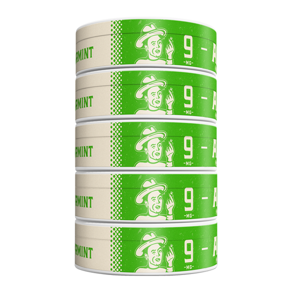 5 pack of 9mg Spearmint ALP Pouches