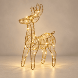 Renaro Glow Outdoor-Rentier