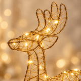 Renaro Glow Outdoor-Rentier