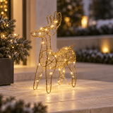 Renaro Glow Outdoor-Rentier