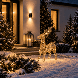 Renaro Glow Outdoor-Rentier