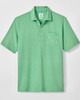 Coastal Original Wash Polo in Honeydew