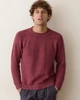 Noah Rollneck Sweater in Cabernet