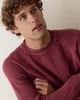 Noah Rollneck Sweater in Cabernet