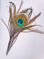 Peacock Feather For God