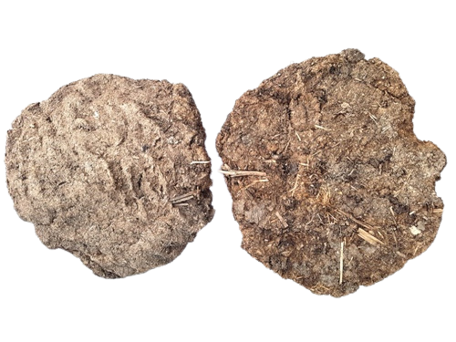 COW DUNG CAKE-2PCS/PACK