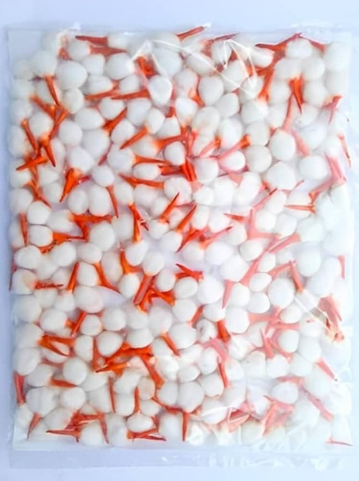 COLOUR TIP COTTON WICKS-RED (10 PCS/OUTER)