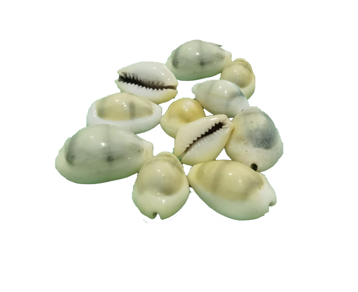 Yellow Chozhi -Â 100gms Yellow Chozhi -Â 100gms