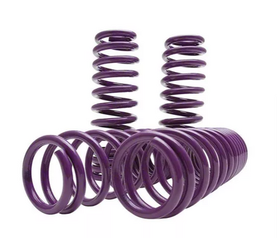 D2 Racing Pro Series Lowering Springs: 11-23 Dodge Charger