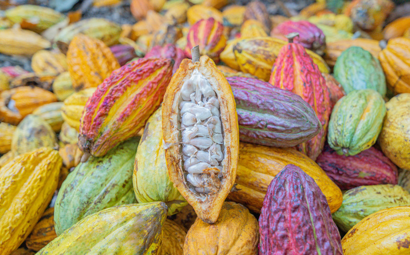 Why we work with Original Beans