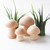 Mushroom Crafts - 1" Birch Wood Split Hemisphere: Flat-Back Craft Component 