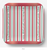 Custom Christmas Custom Paper Plates with your Name