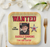 Western Birthday Wanted Paper Plates