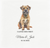 Border Terrier Pet Cocktail Wedding Napkins