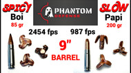 The BEST 300BLK Ammo for Hunting and Defense?