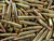 Bulk 5.56x45mm NATO 77 gr OTM Lake City Brass ammunition.