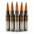 Five rounds of Phantom Defense 308 175 gr Sierra Match King MK316 Mod 69 with nas3 cases.