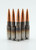 Phantom 8.6 blk 352 gr rex expander in nas3 case