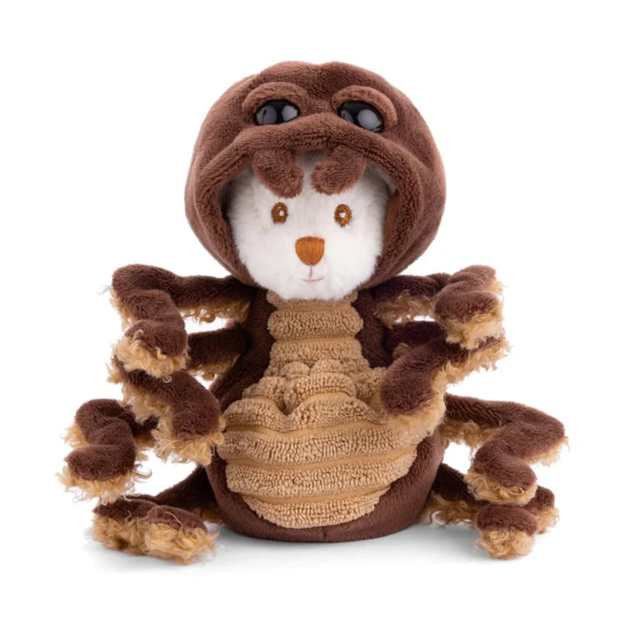 Bukowski Bears Ziggy Spider